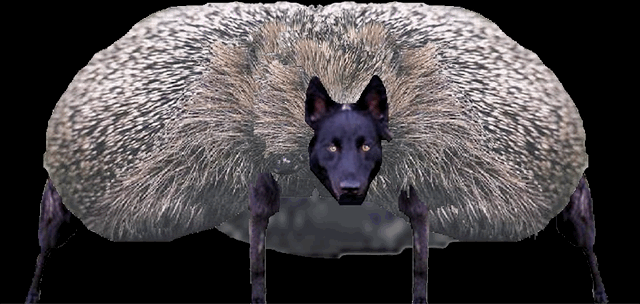 Das Biest 3